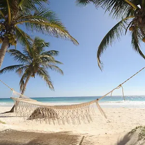 https://las-ranitas-eco-boutique-hotel.tulum-hotels.net